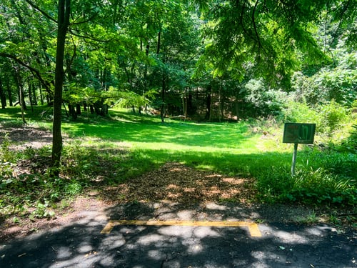 Hole 1's tee. Pink pin is down the hill and back up to the left behind large tree. Yellow pin in down the hill and back up to the right in an opening space in the forest. 