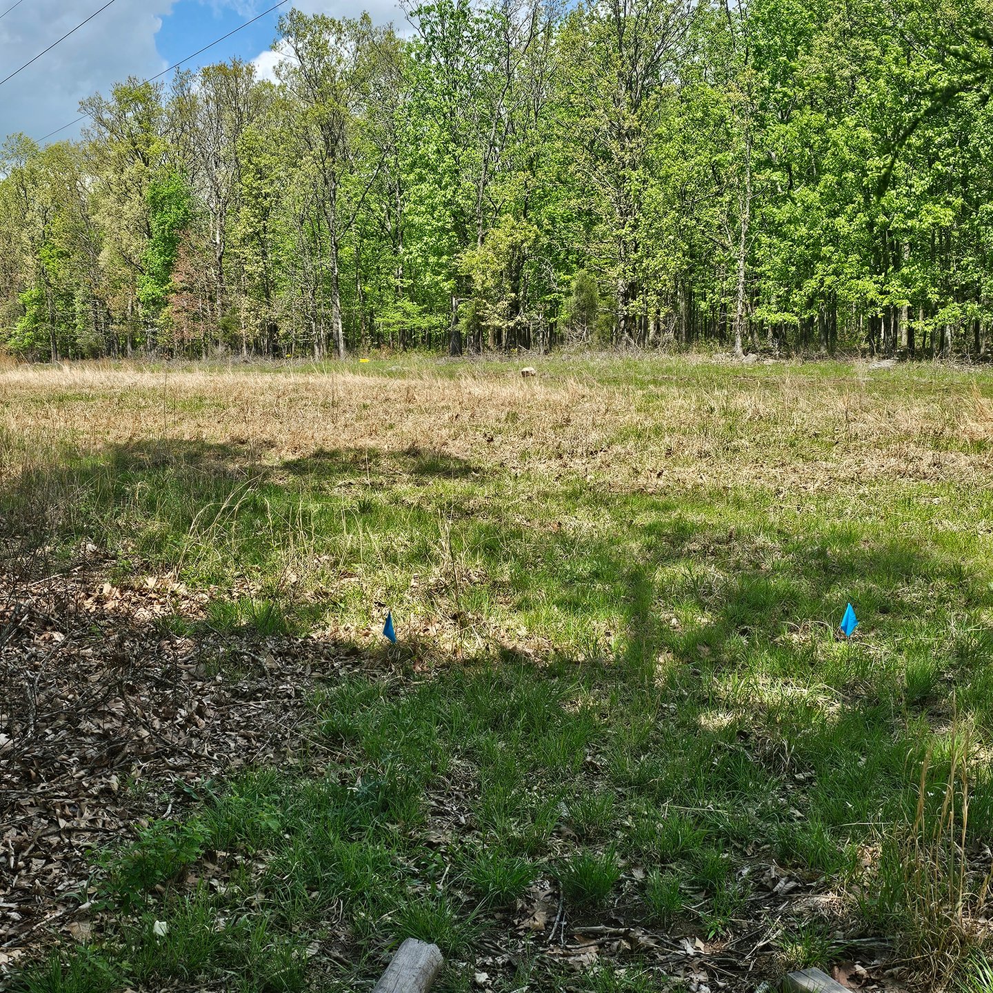 Hole 5 from the tee. 