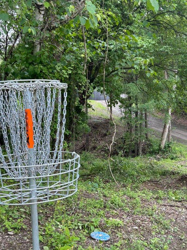 Hole 1 Basket weekend 
Hole 4 Basket weekday 