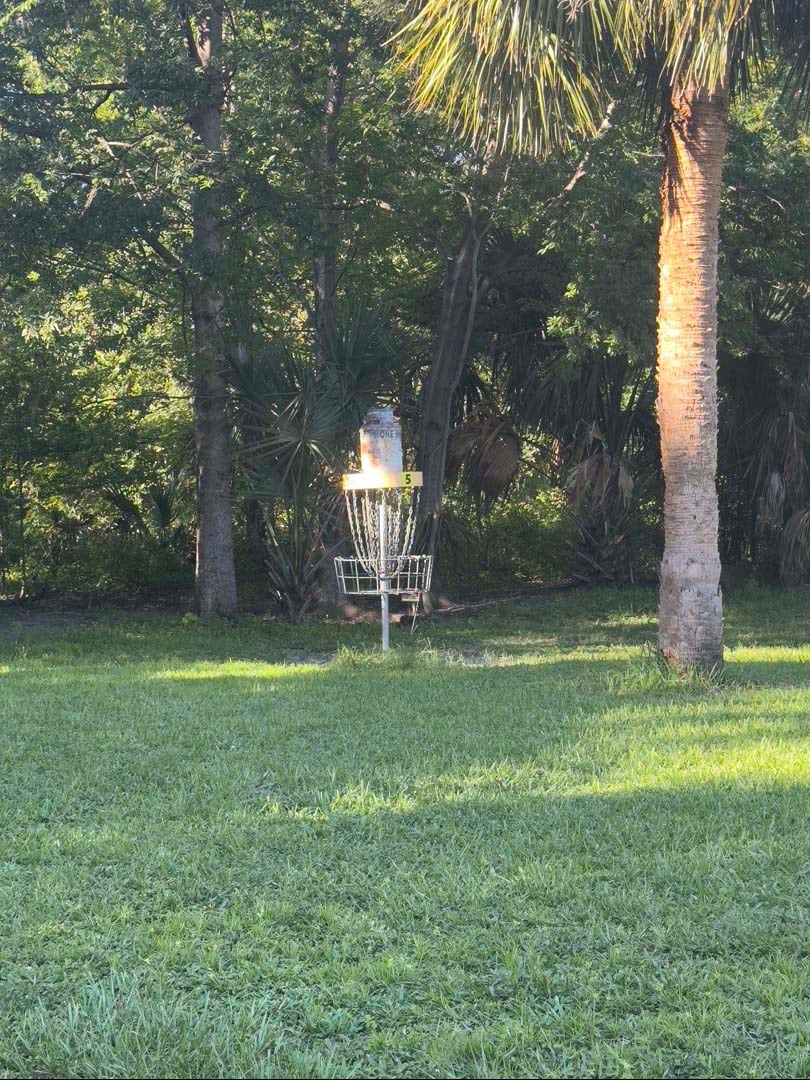 Long/yellow basket 