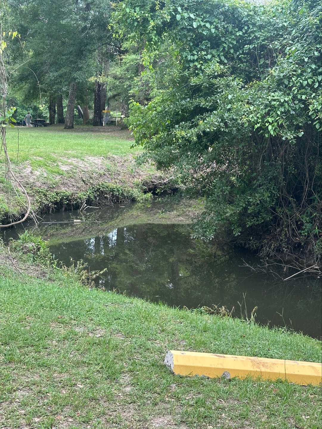 Hole 7