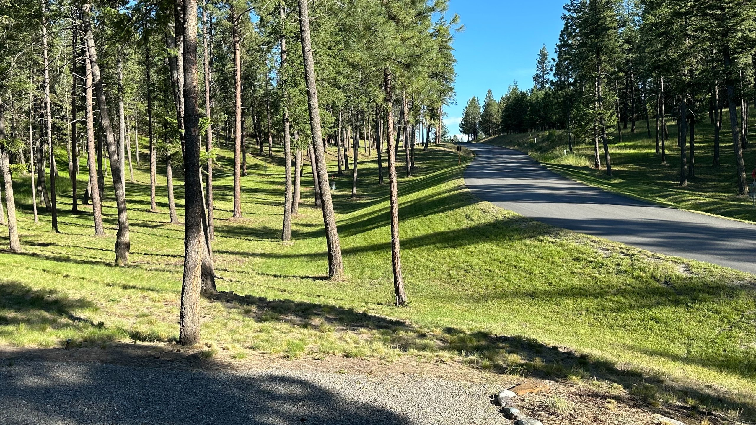 17 Fairway in the afternoon from Gold Tee