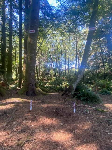 Drop Zone hole 2