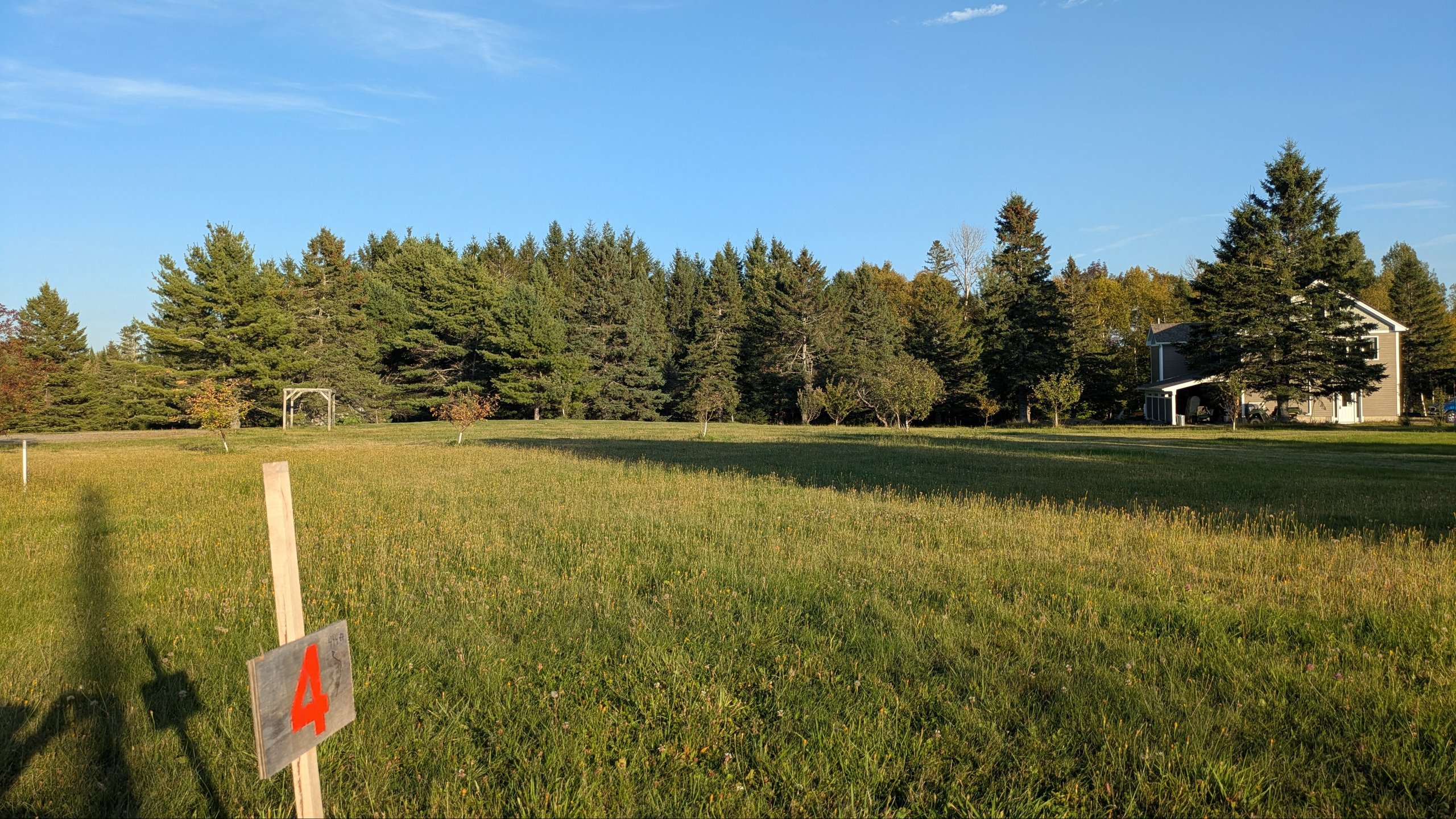 Hole 4 tee looking toward the target which is behind the row of trees way down the slight decline