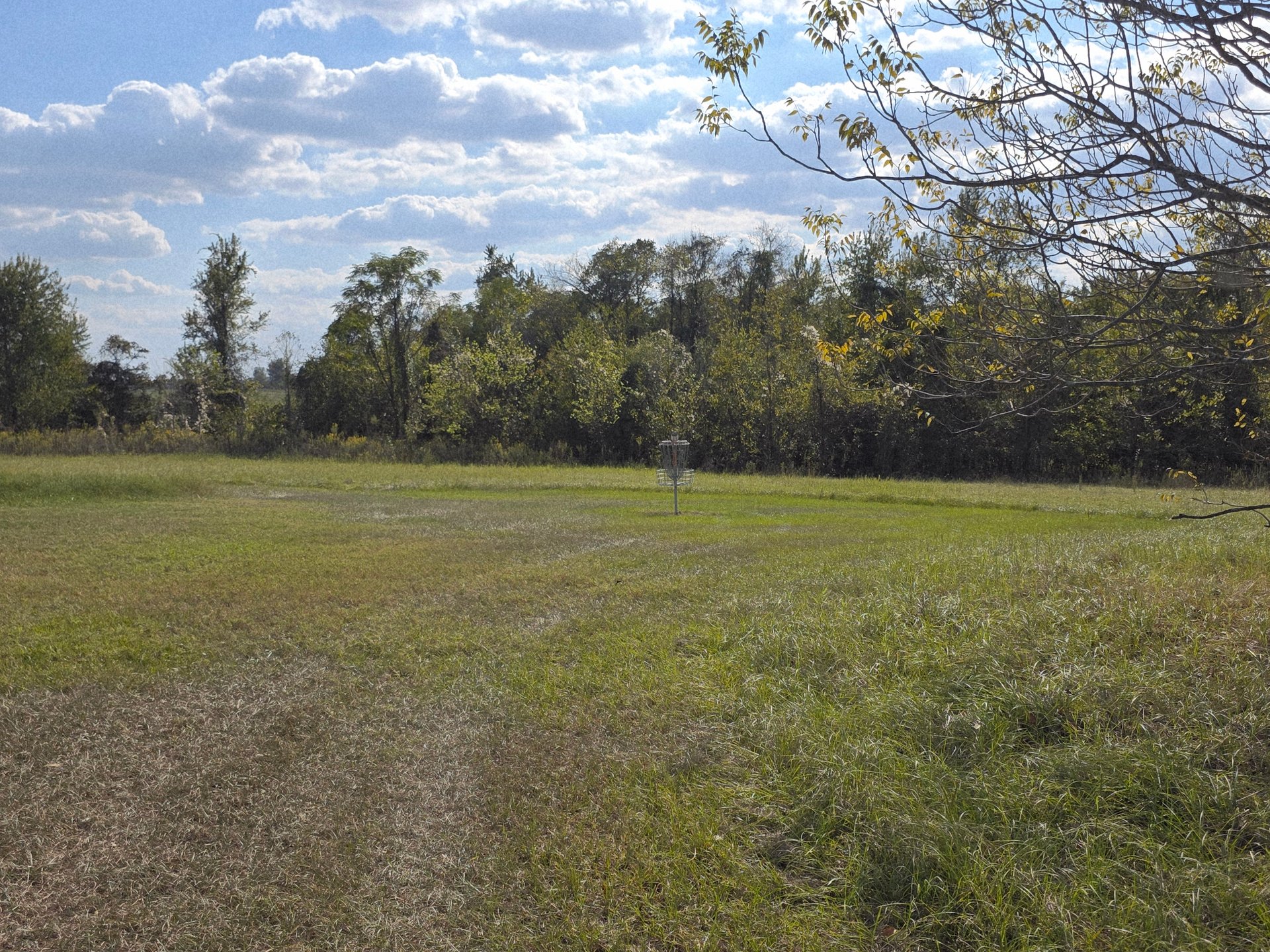 The basket on hole 13.