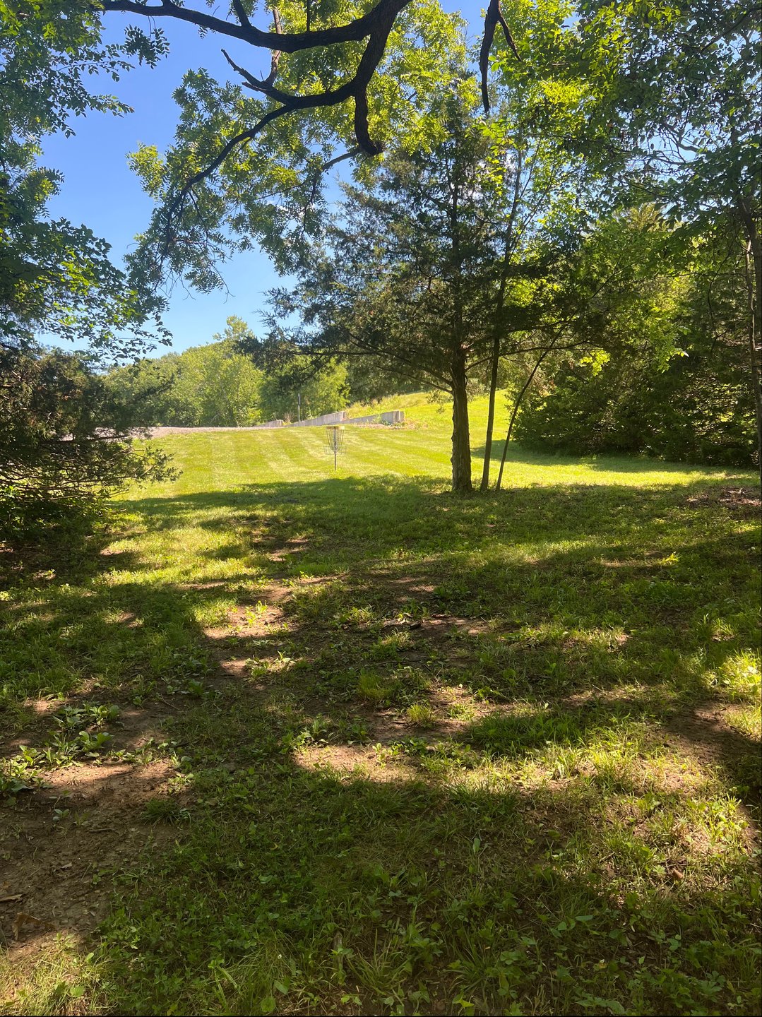 Hole #6 standing in fairway facing basket 