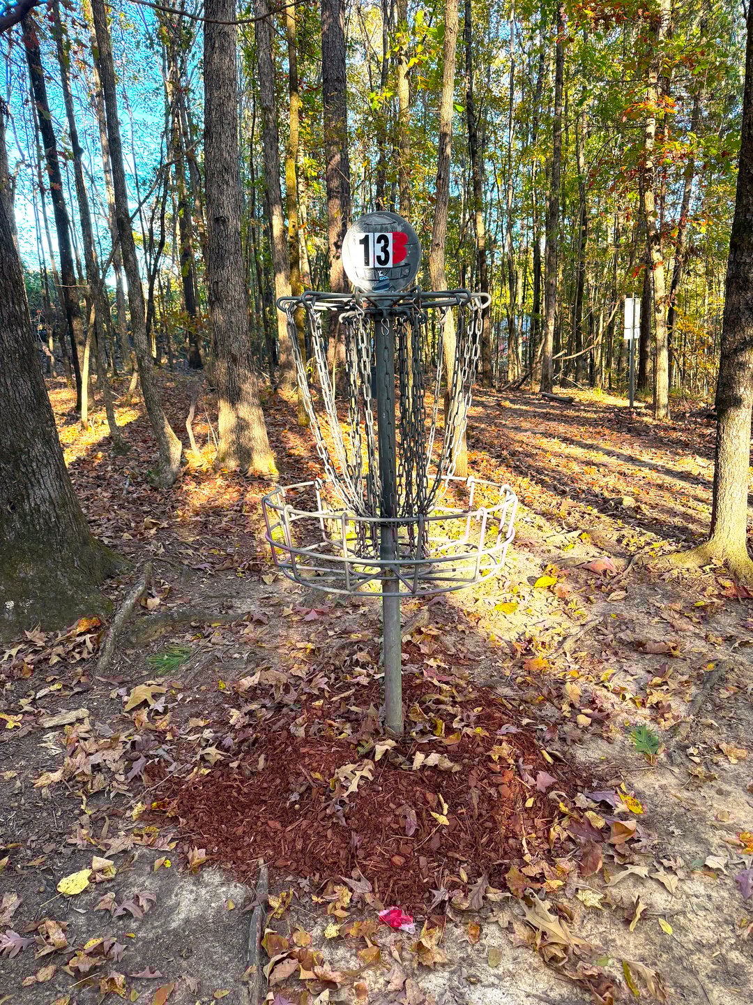 Hole 13 Basket