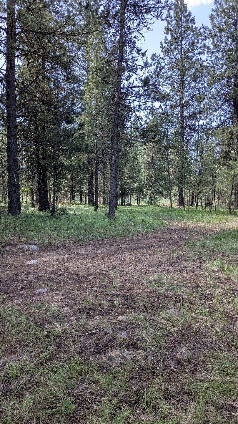 #10 Dog leg landing zone and approach to basket (Par 4)
