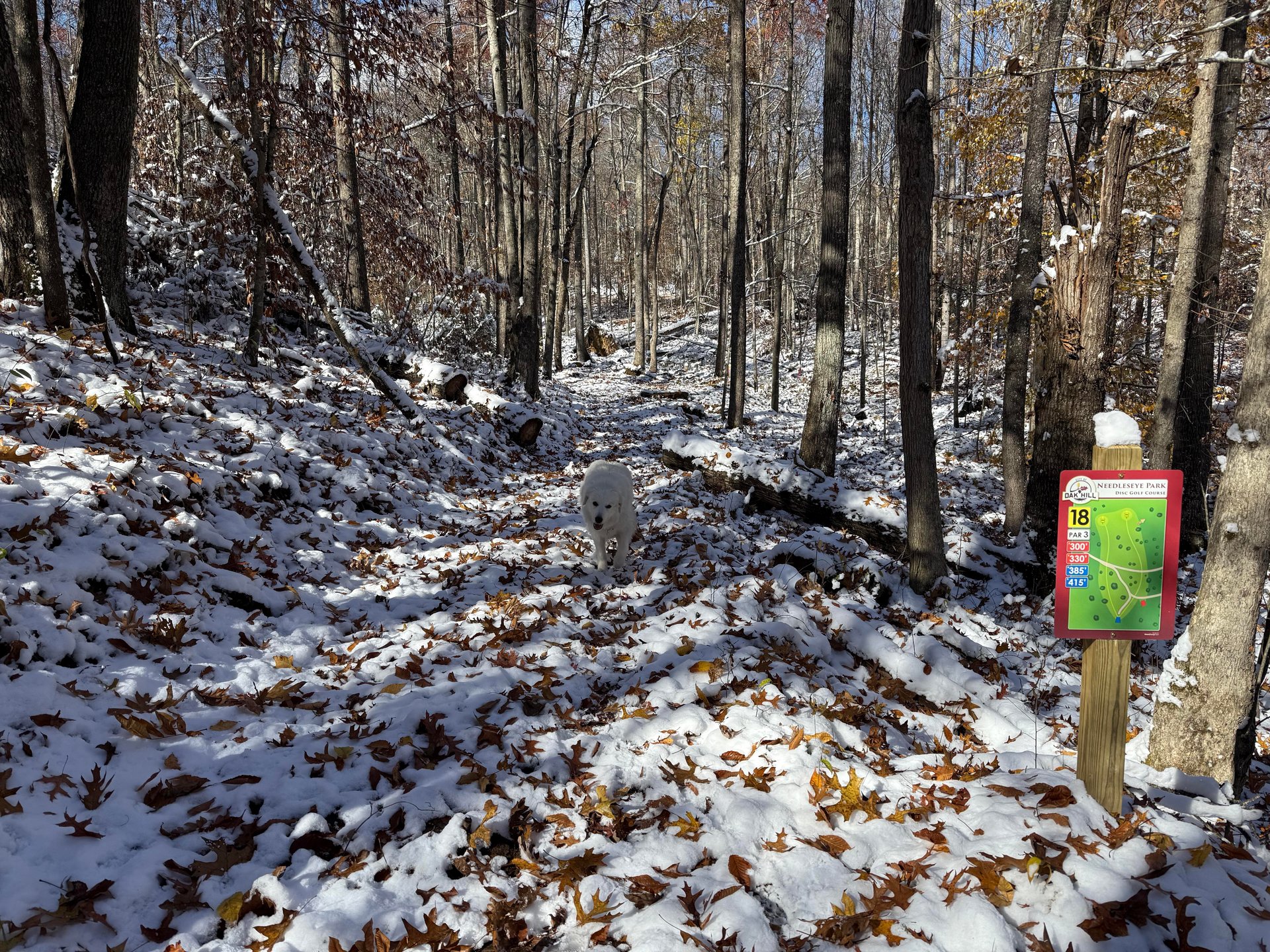 View from long teepad