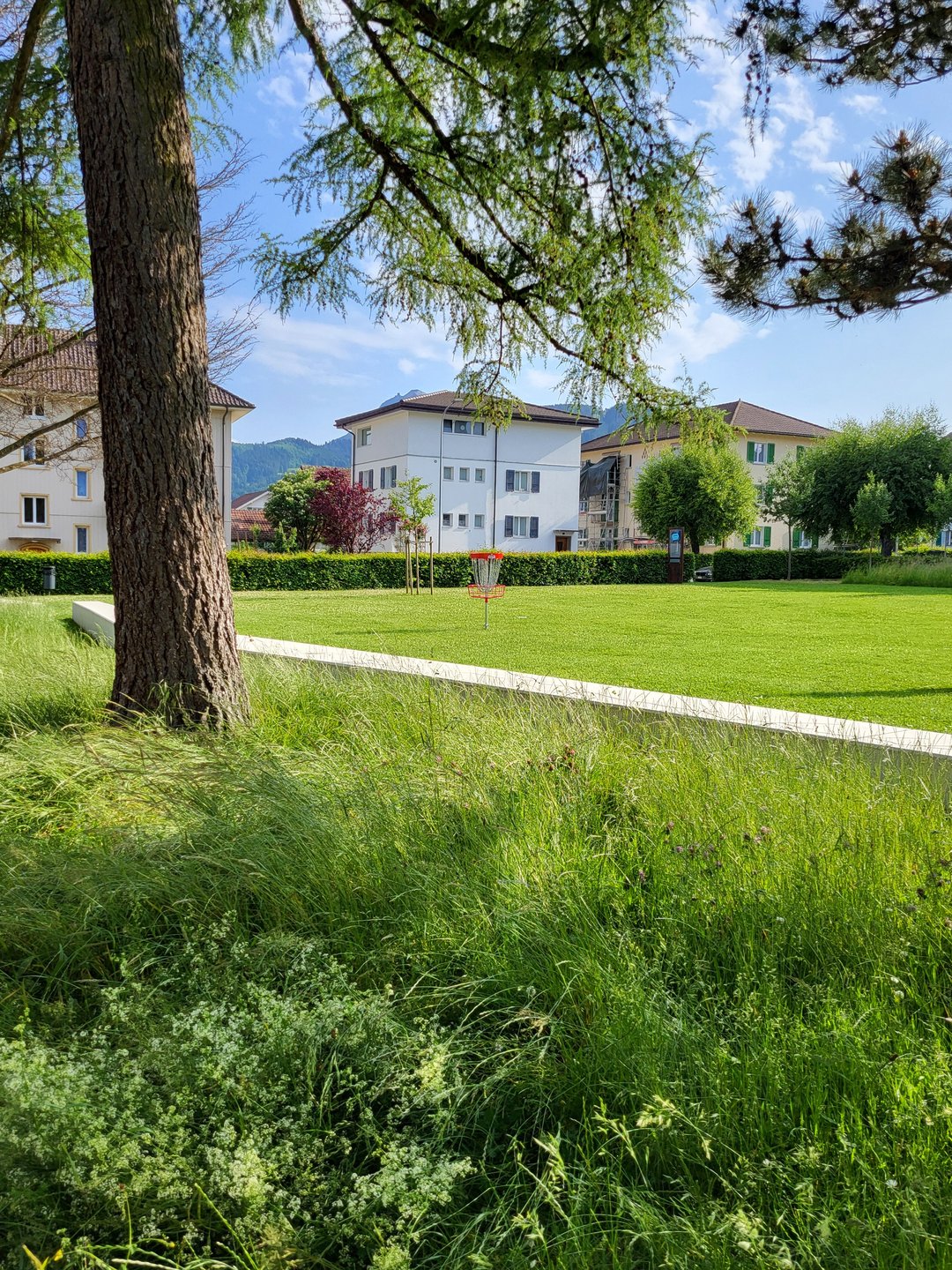 park overview