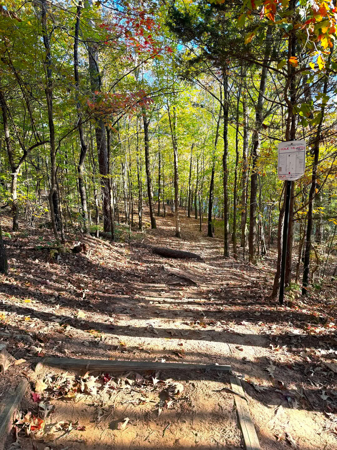 Hole 16 Downhill Fairway