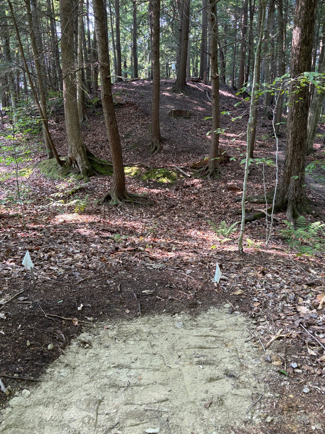 Hole 15 tee. Straight uphill