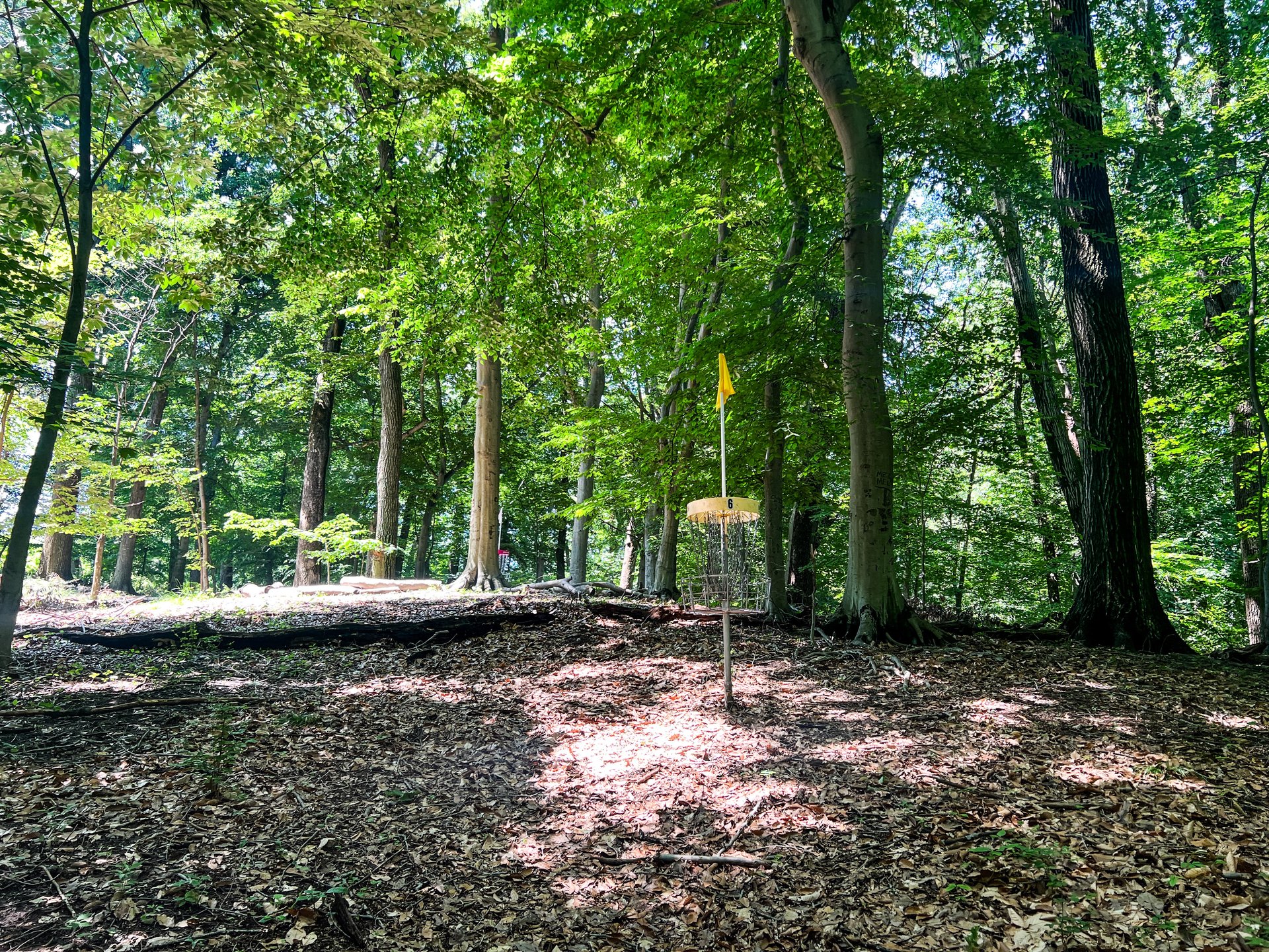 Hole 1 Yellow Basket. Par 3. 324 ft. 