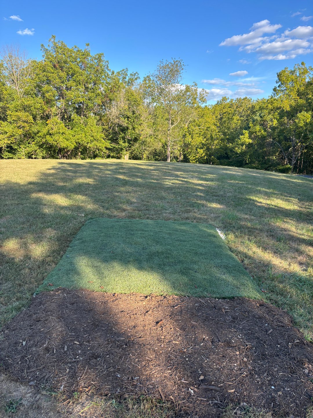 Merlin - The shared tee and basket becomes a different bag of tricks when the Mando is added. Right for the short tees and left for long. The OB increases the difficulty on this deceptively easy hole.