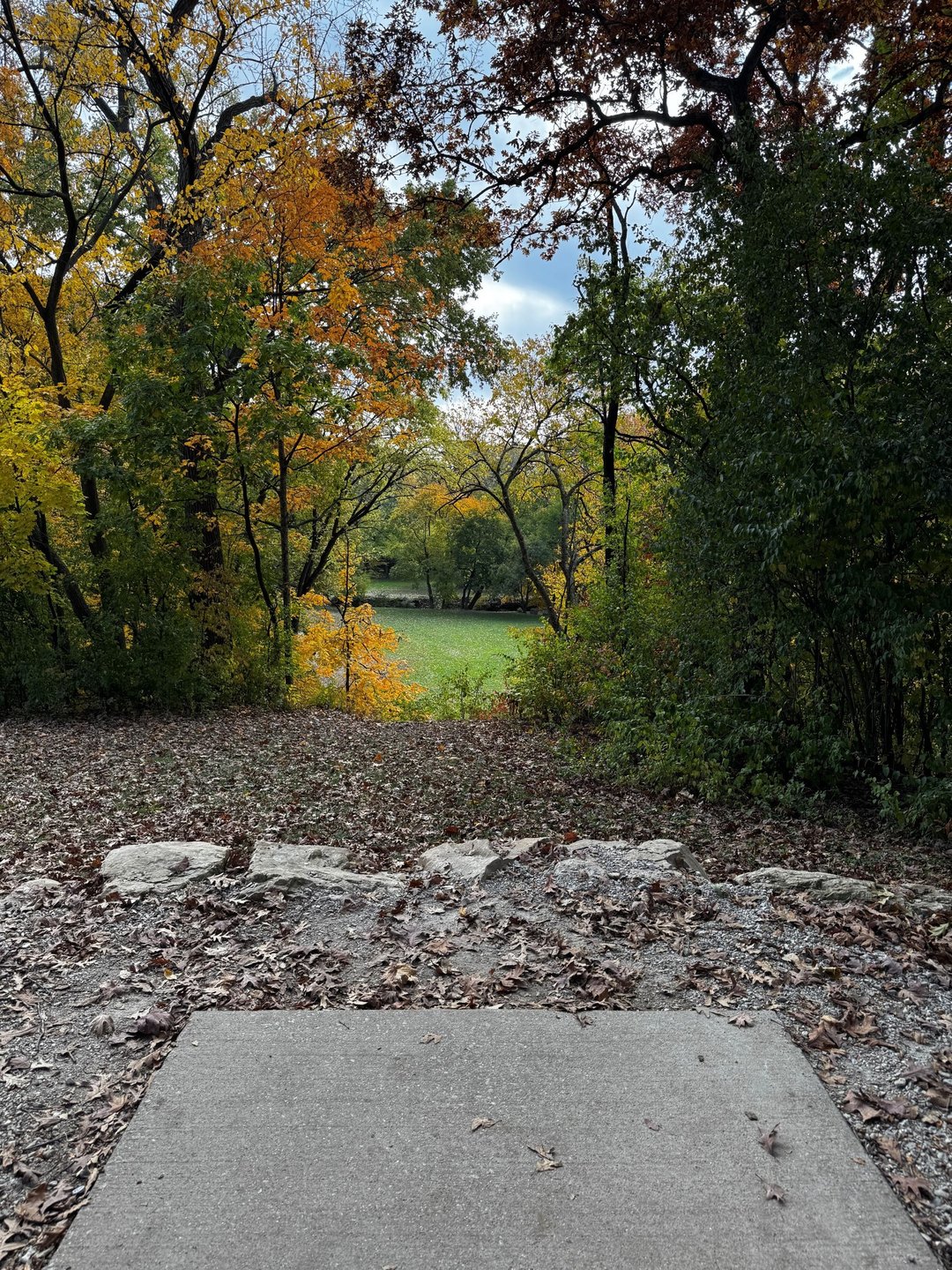 Hole 4 - White Tee