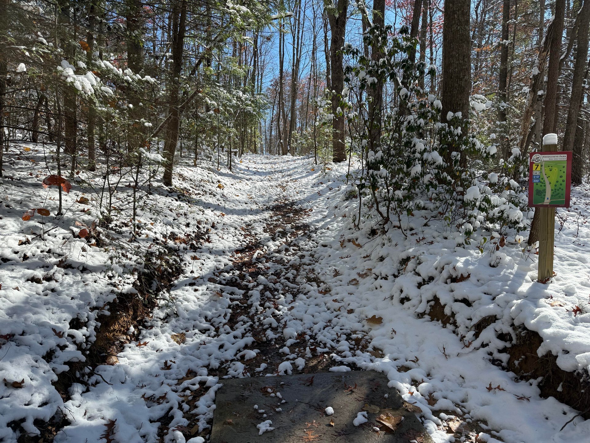 View from the teepad