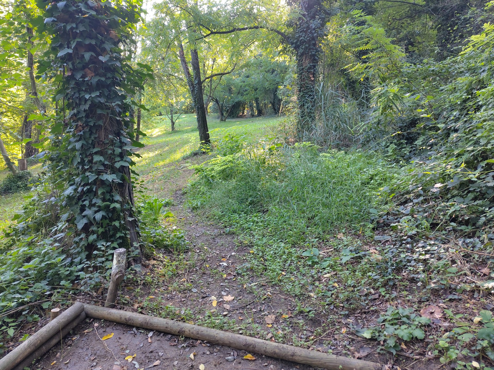 tee hole 6