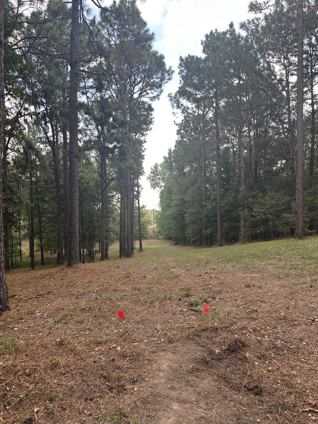 Mathias Hollow Disc Golf Course