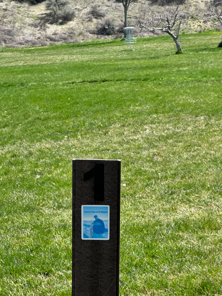 Tee markers are brown pillars. Each faces the direction of the flag.