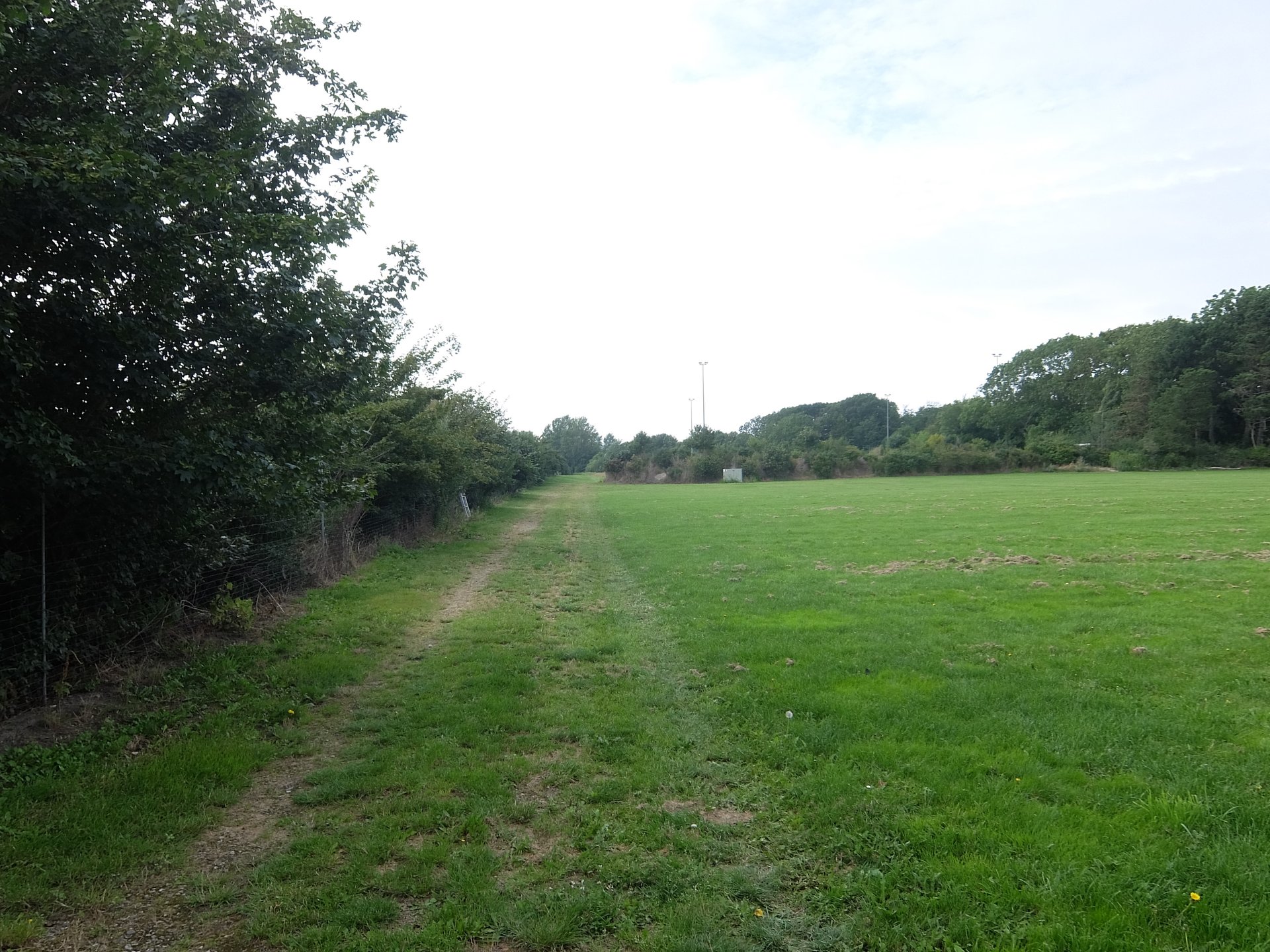 Tee 2 is right behind the first basket, avoid going over the OB fence, and if you do, you must use the ladder to get your disc and avoid stepping on plants if very far out on the field behind the hedge