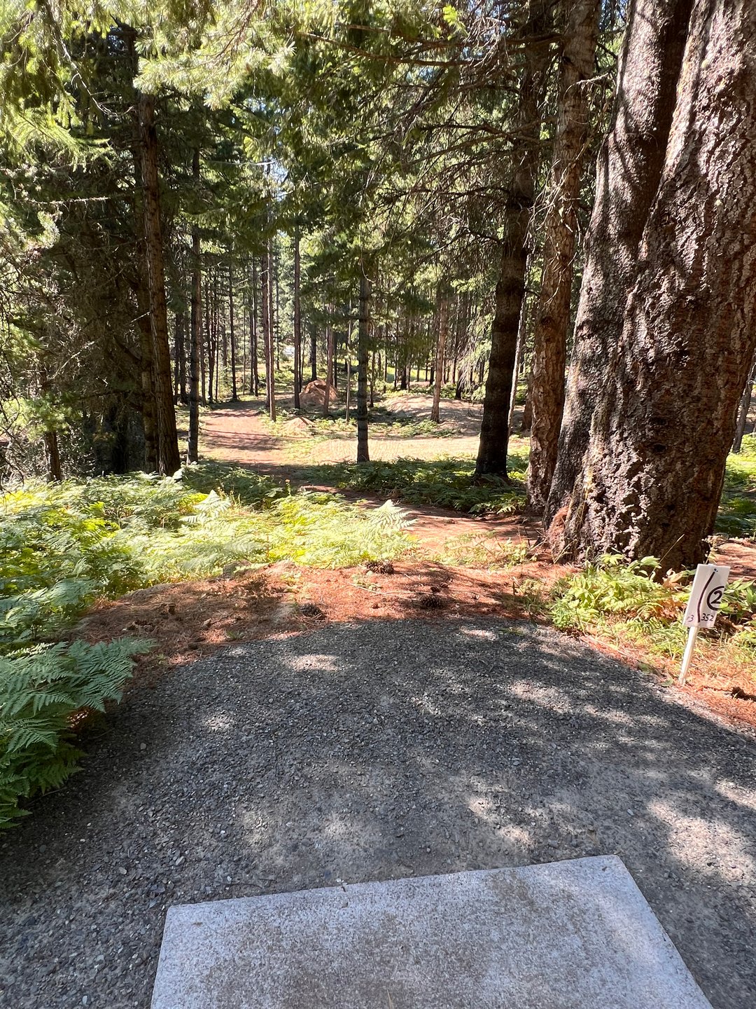 Hole 2 teepad