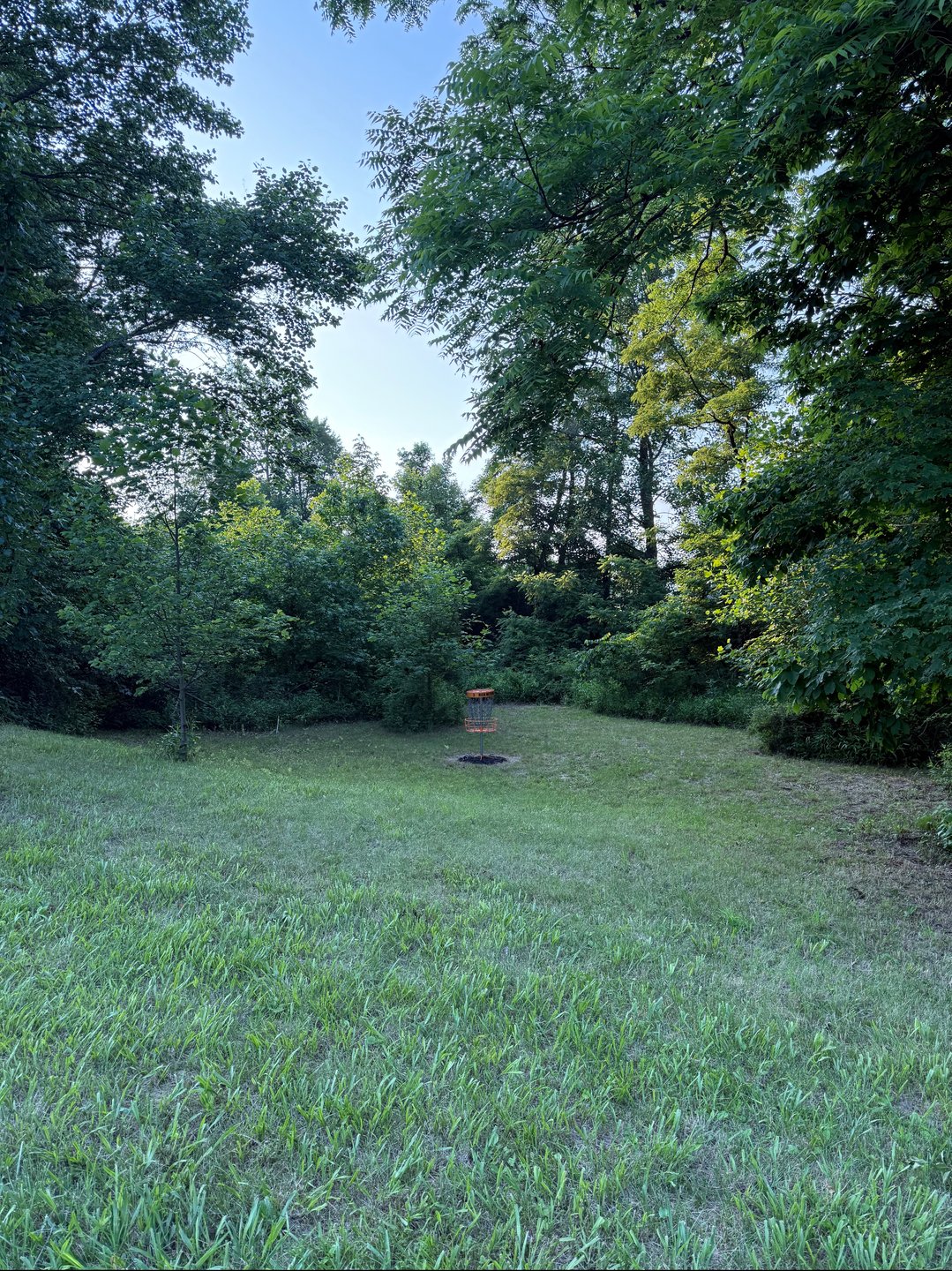 Hole 3 basket/green 
