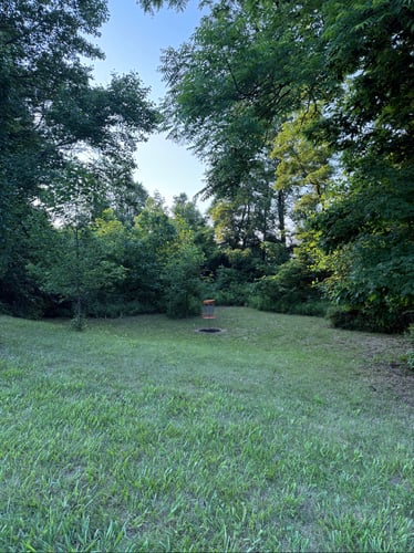 Hole 3 basket/green 
