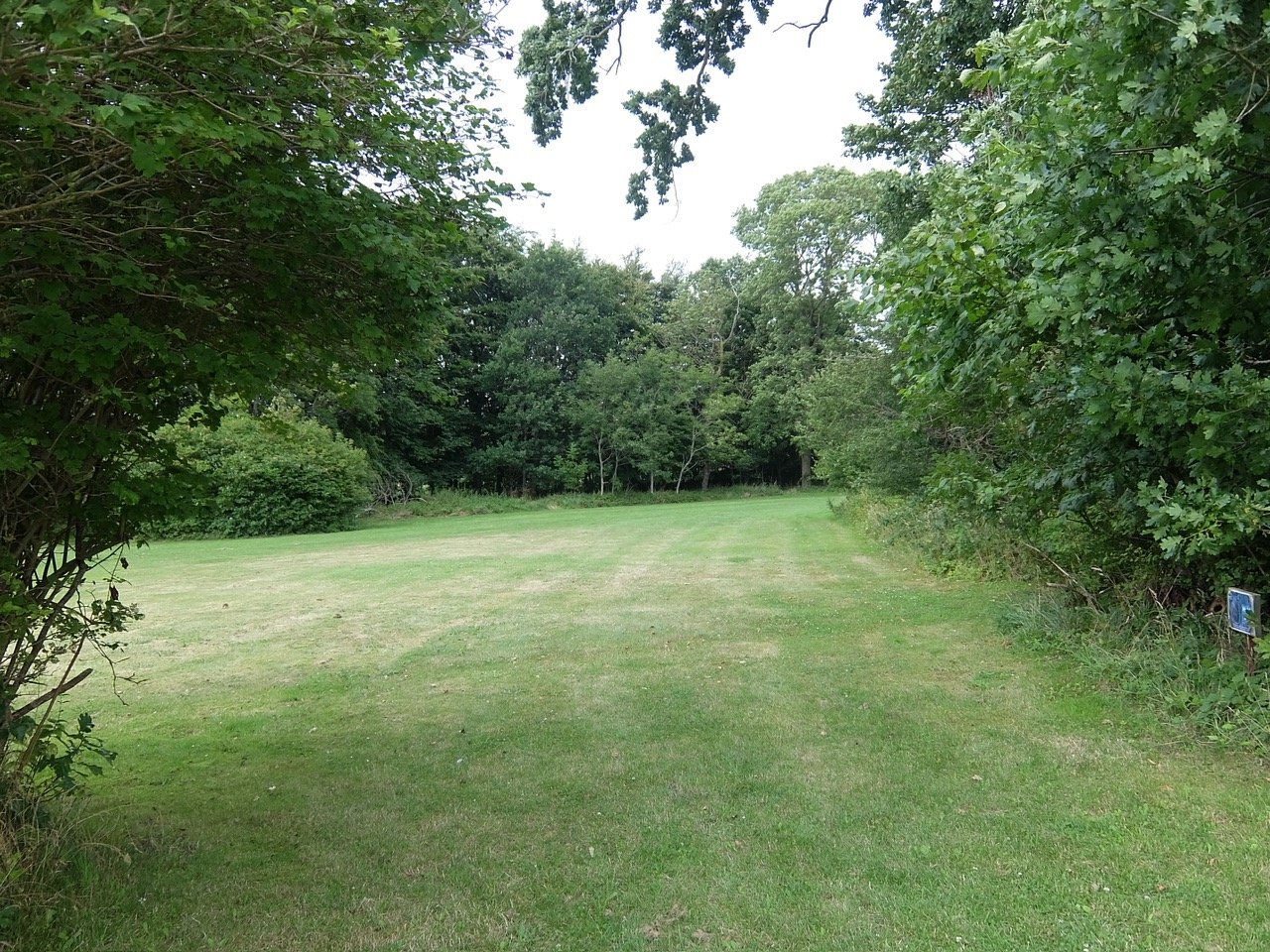 Tee 5, you can throw from between the sign and the bush, beware of nettles to the right