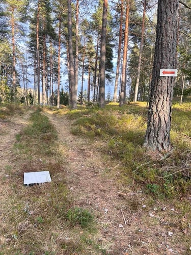 Mando hål 9. Dropzone på stigen till vänster om trädet. 