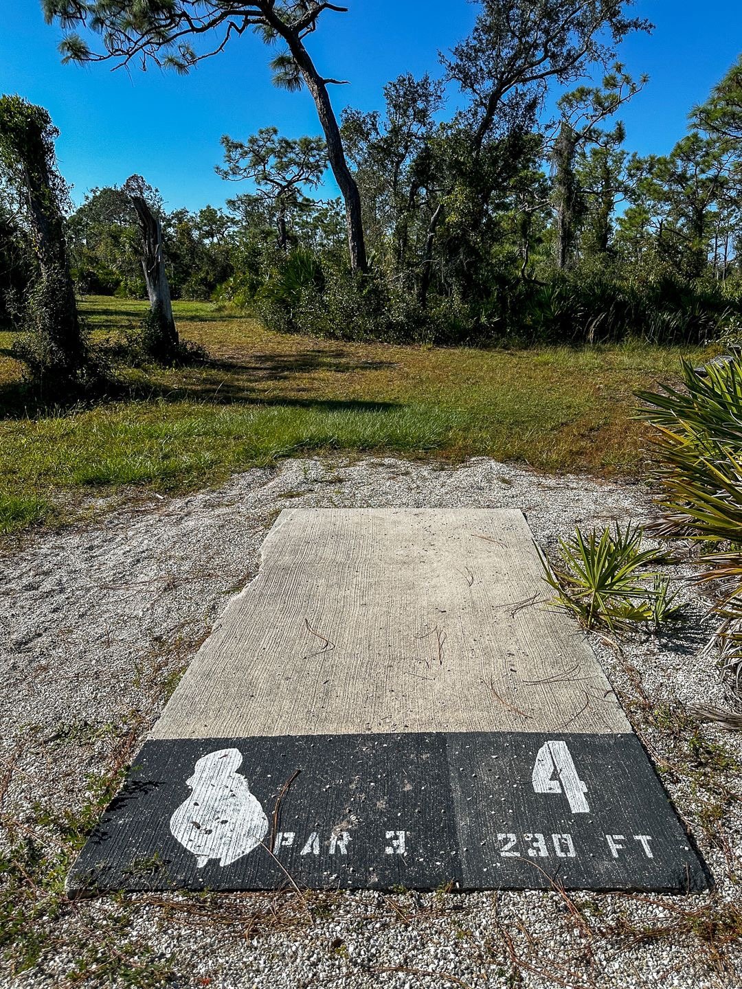 Current tee location 10/2025.  230 ft to basket from front of tee