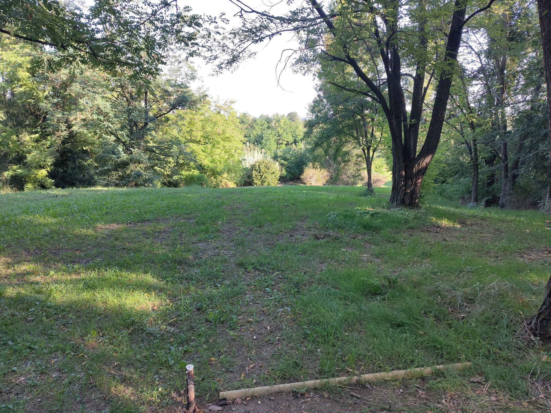 tee hole 8