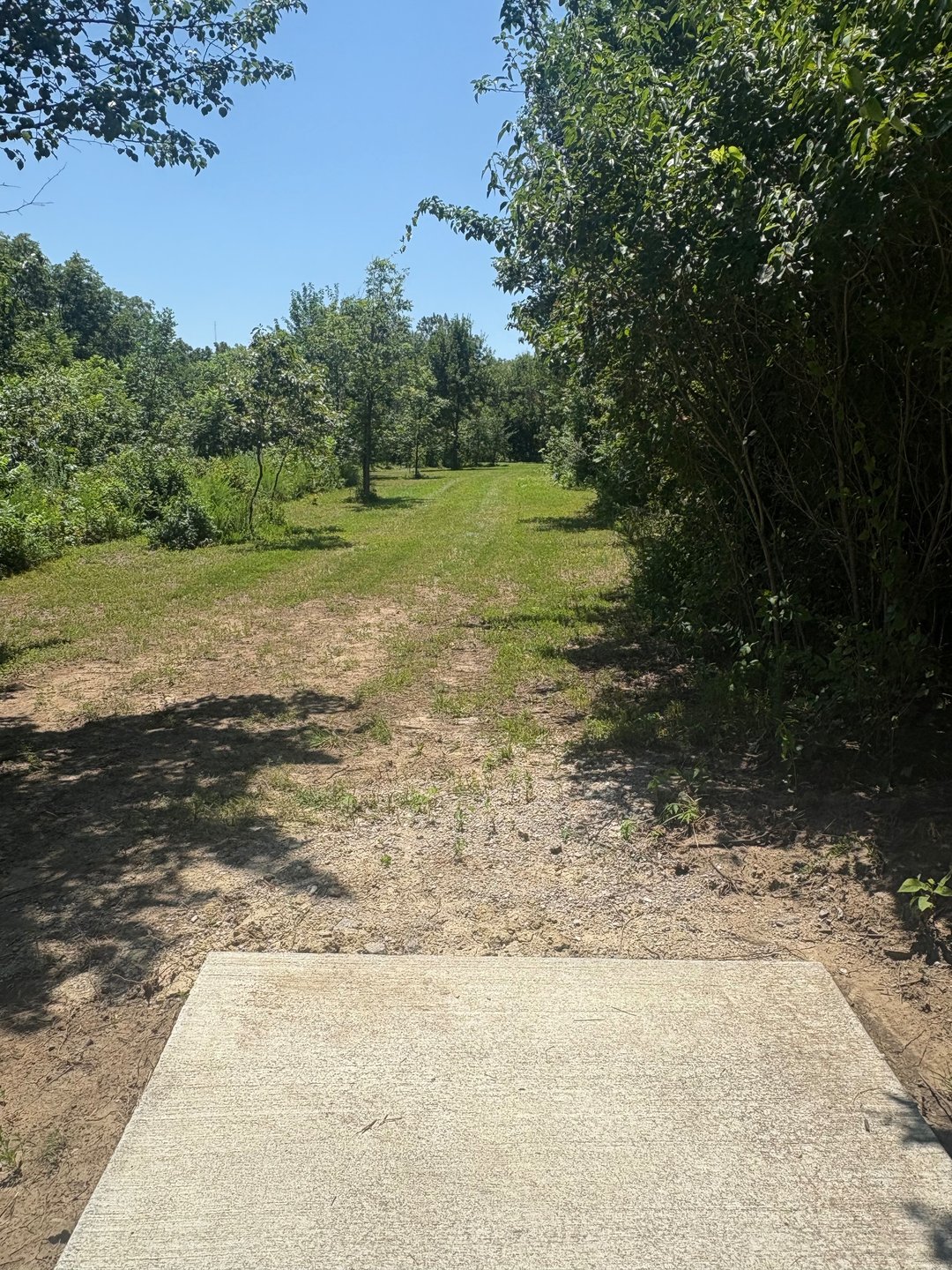 "Crescent moon" hole.  Just a nice little left to right fade, but beware what lurks to the right side of the fairway.  No get out of jail free cards allowed.  
