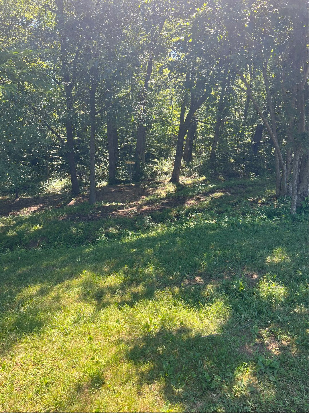 Hole #4 standing in fairway facing basket 