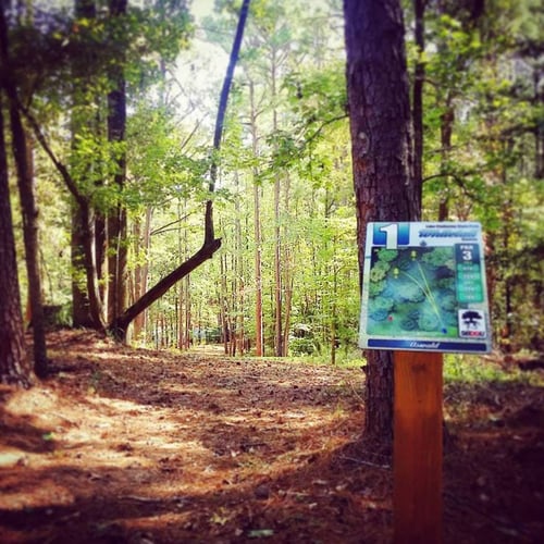Lake Claiborne - Whitetail - Hole 1