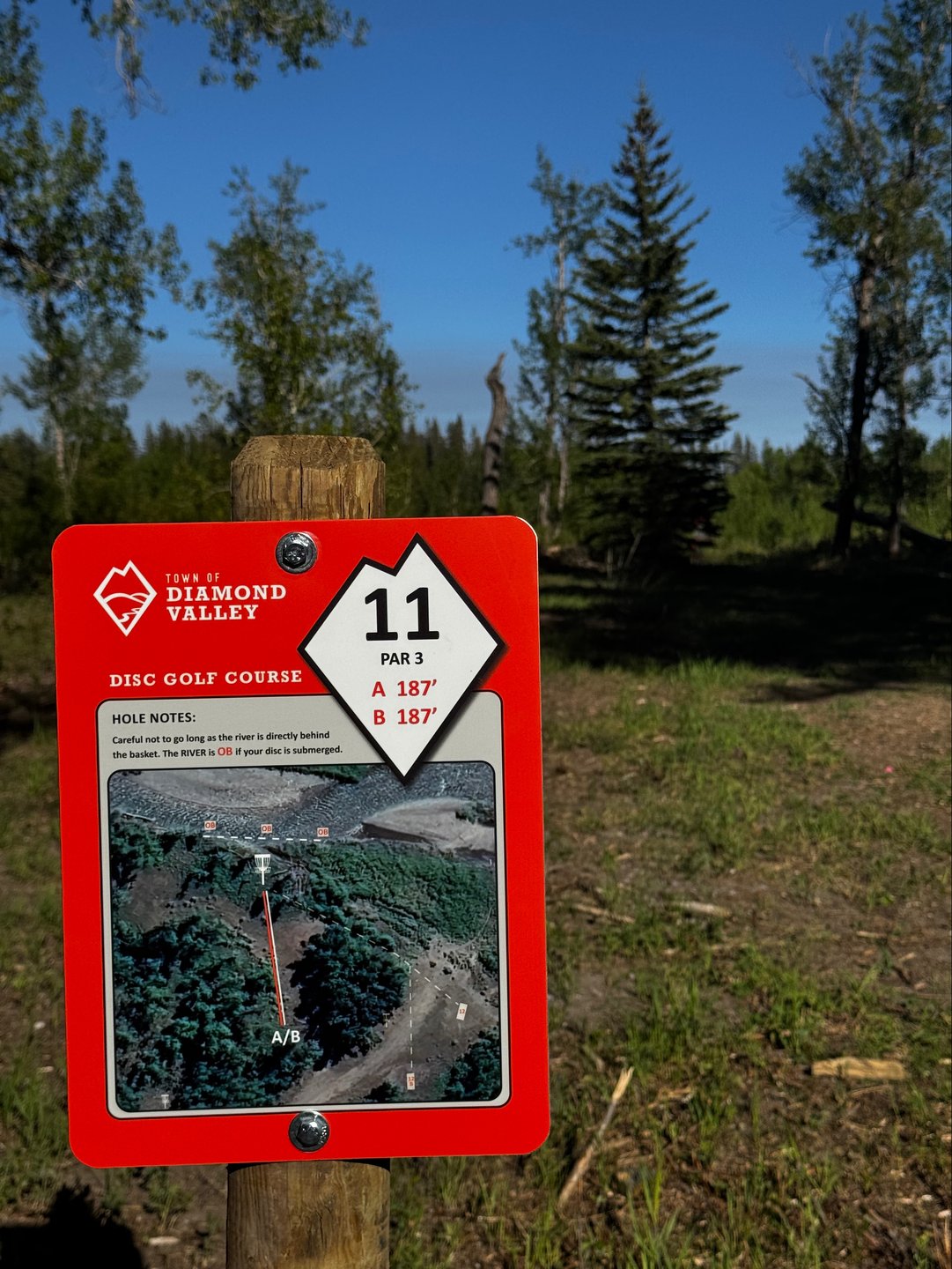 Hole 11