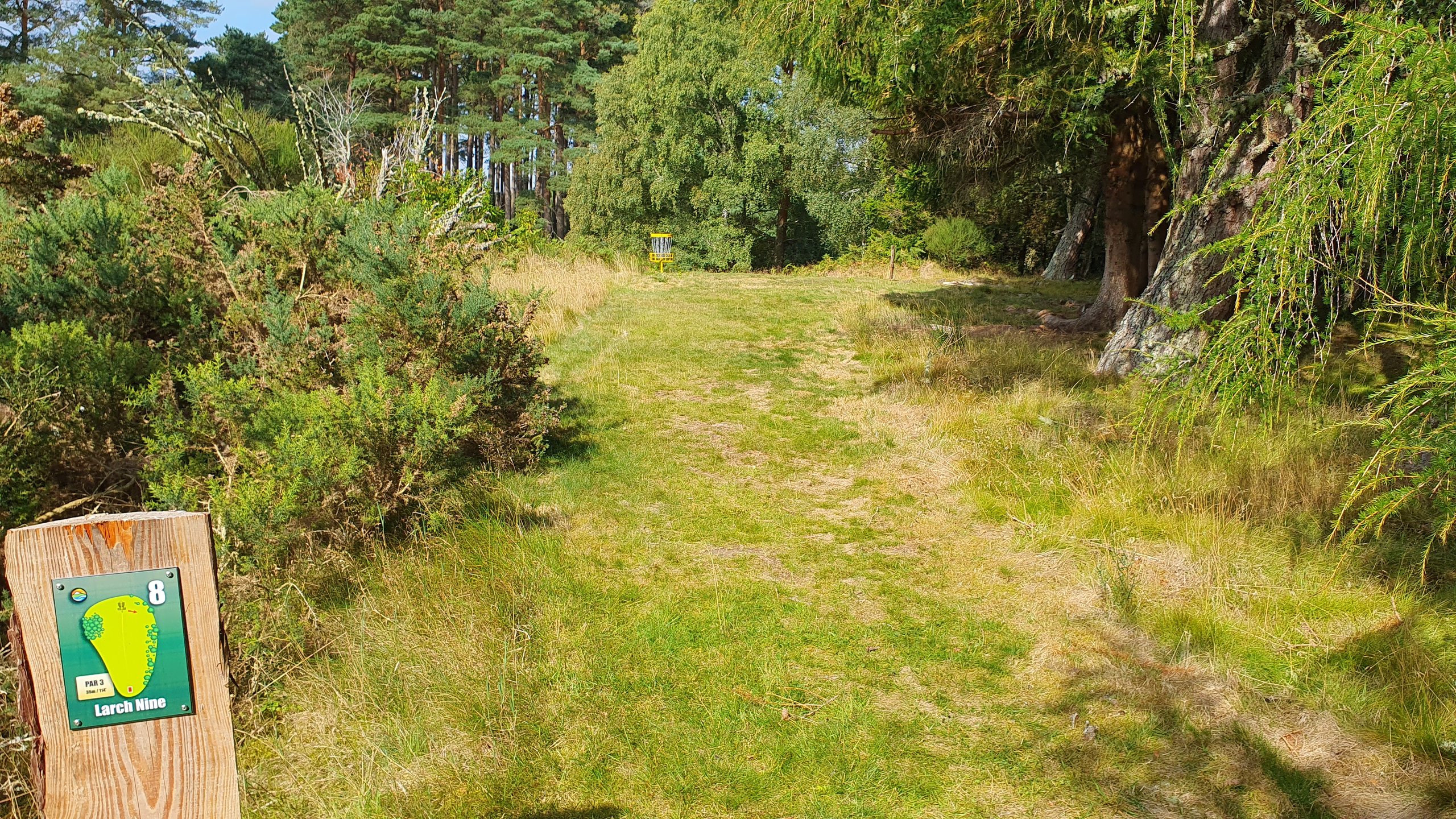 Hole #8 - Larch Nine
Steep drop after basket!