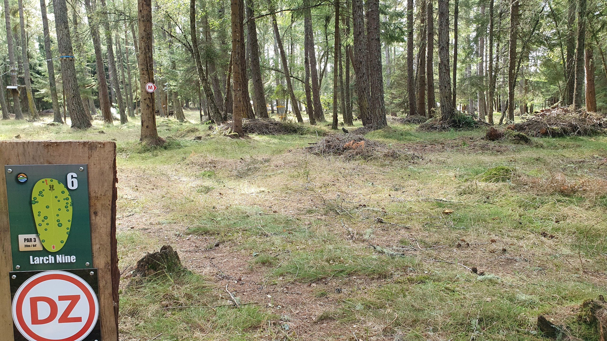 Hole #6 - Larch Nine
DZ, Drop Zone for Hole #8 - Ace Outback