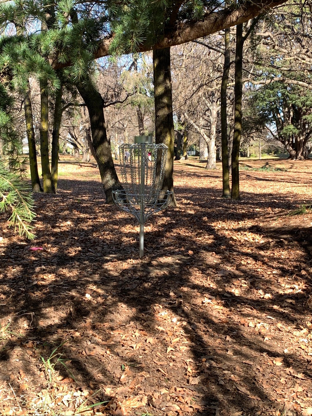 Hole 7 basket 