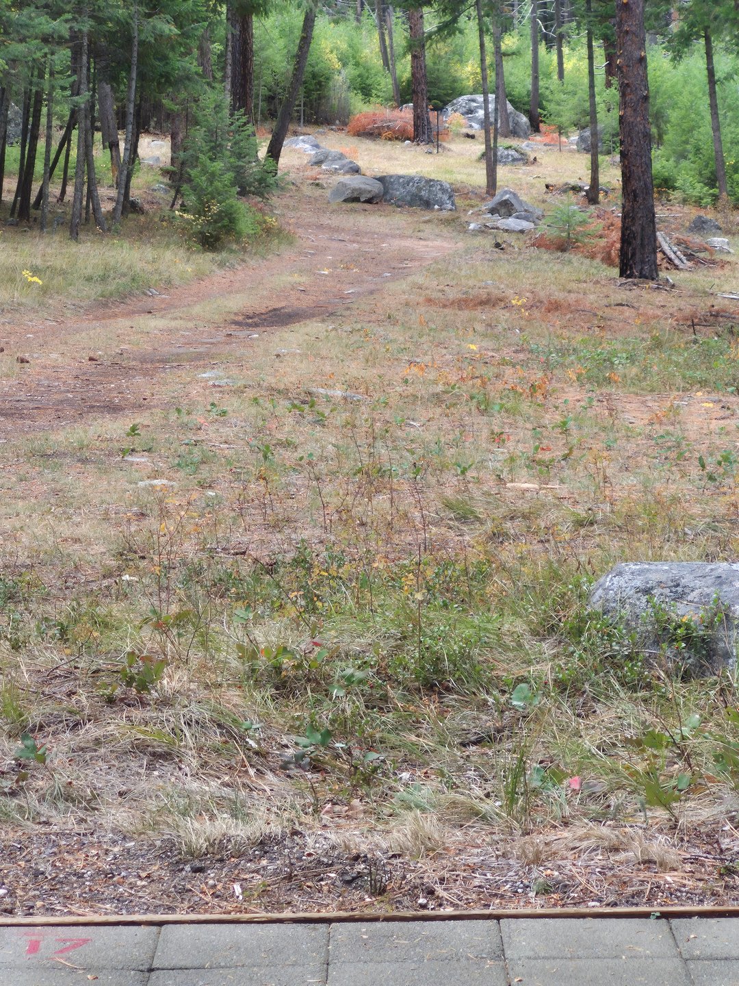 Hole 17 Tee, both targets 