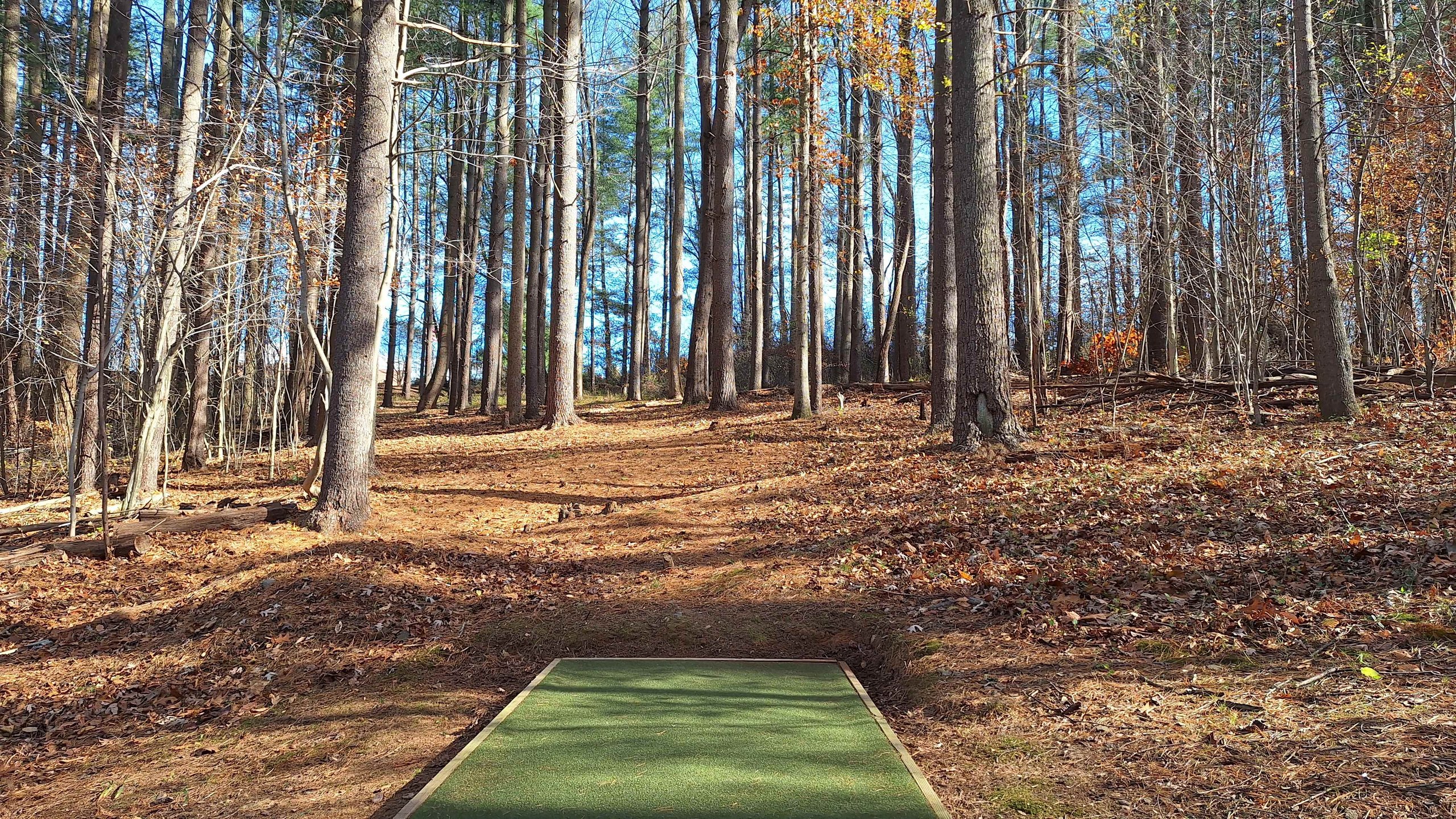Hole 8 Fairway