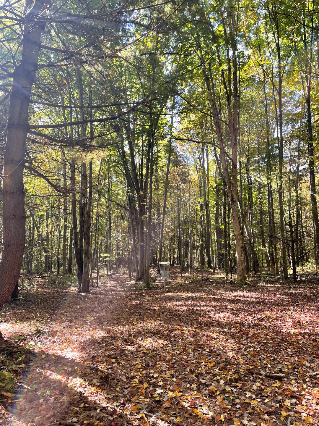 Hole 3, Basket. 