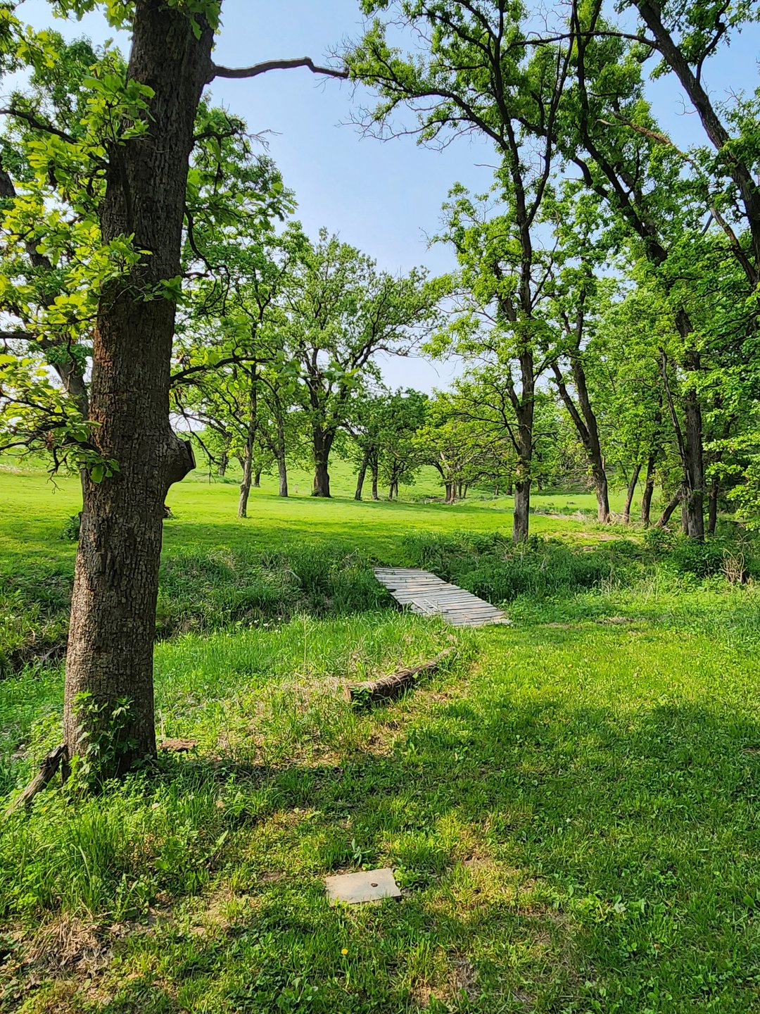 Hole 8 DZ.