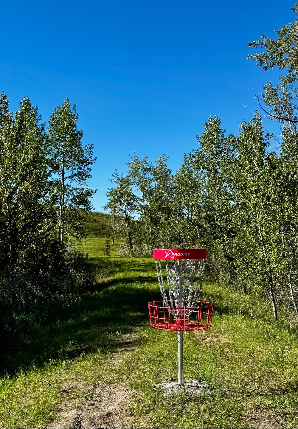 Hole 13 looking back towards the teepad near the telephone pole in the distance. 