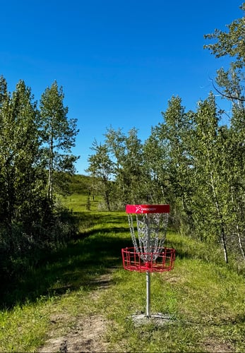 Hole 13 looking back towards the teepad near the telephone pole in the distance. 