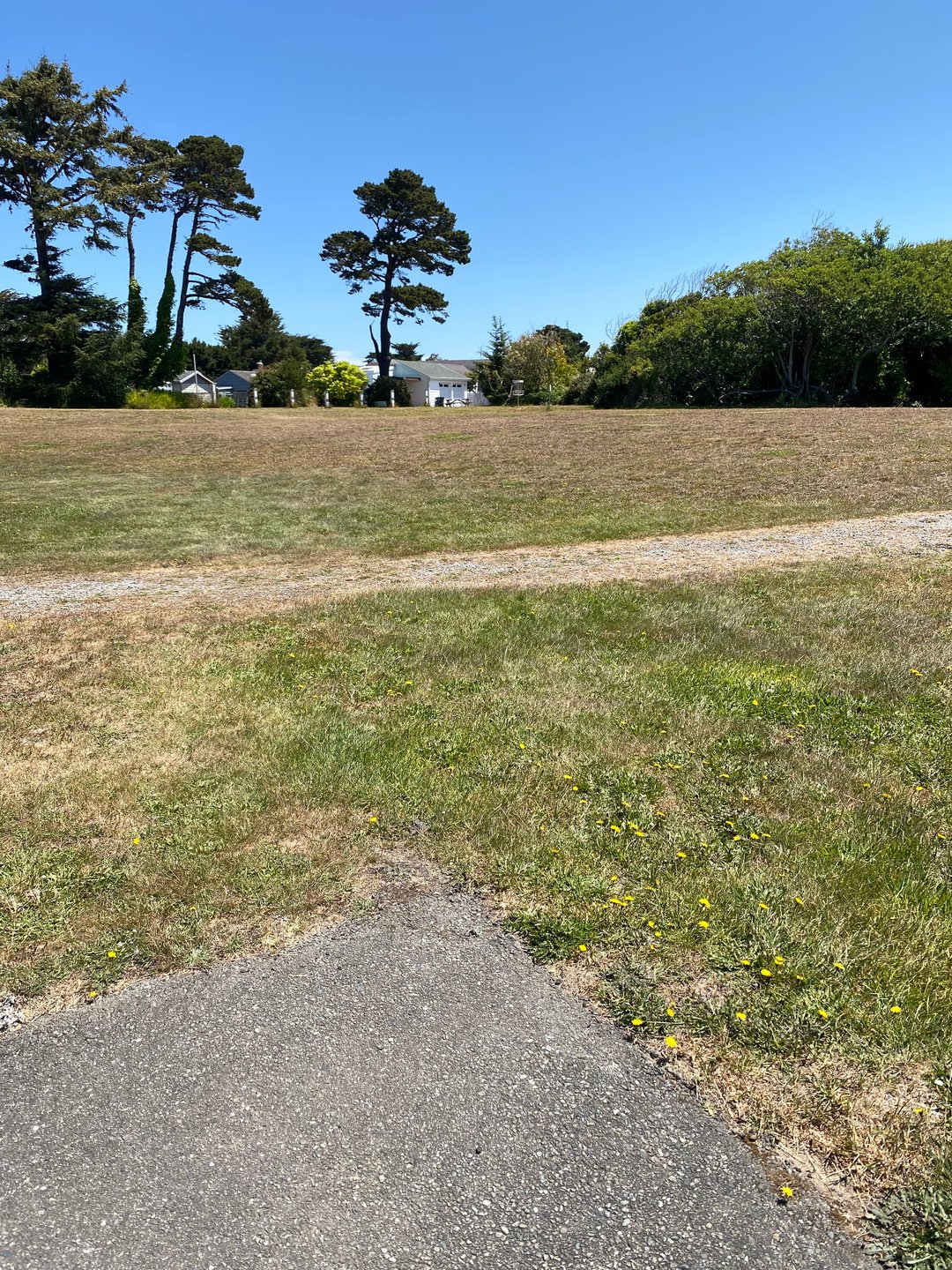 Tee pad for Hole 27A on the Bandon 30 layout.