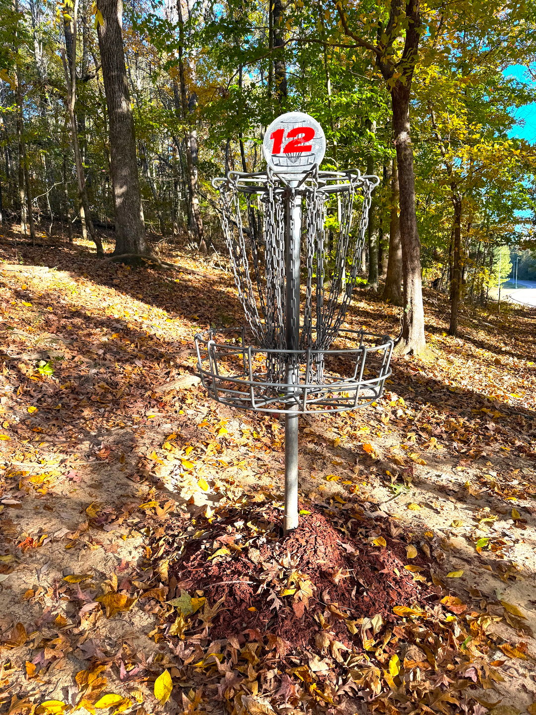 Hole 12 Basket