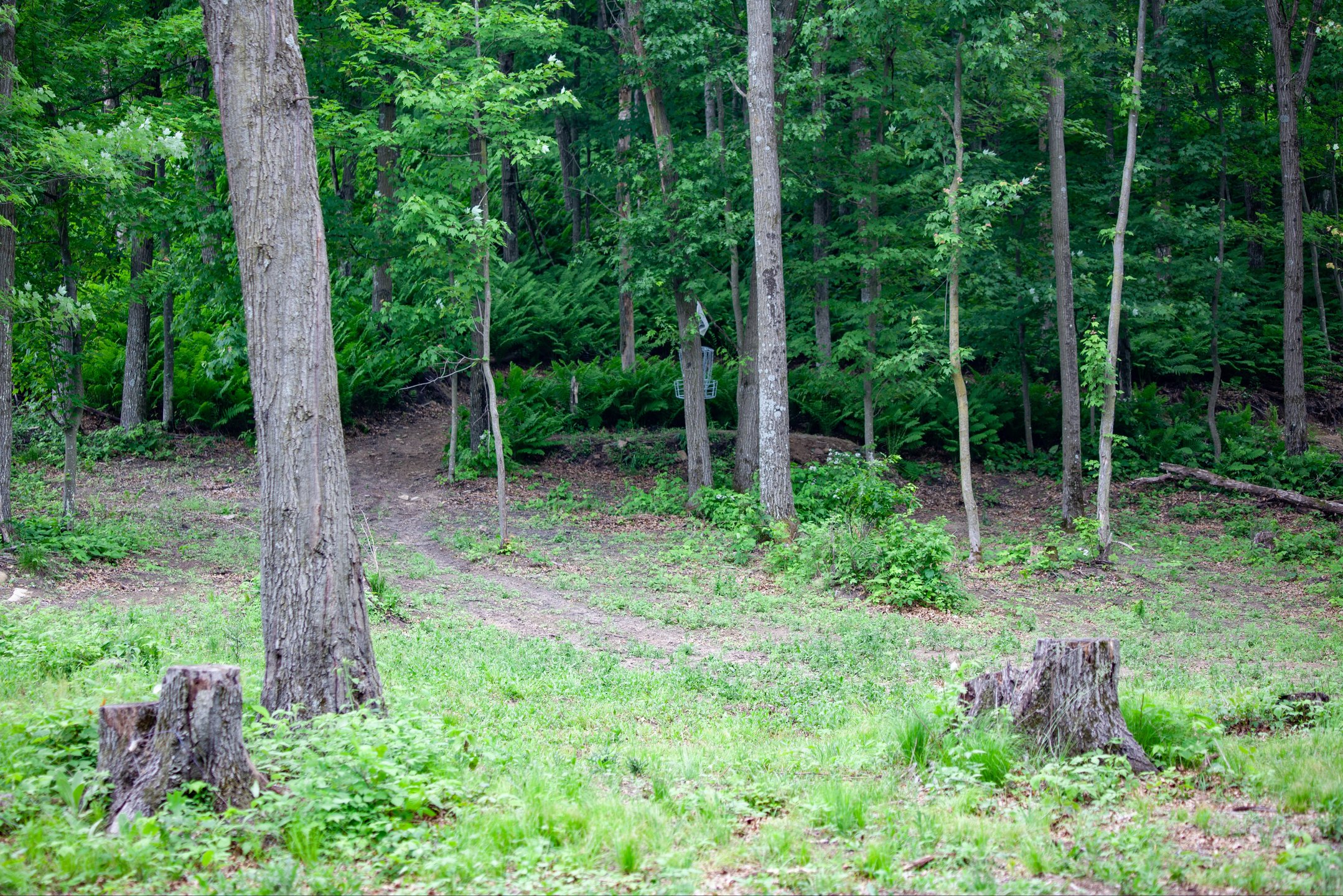 Protected green with elevation