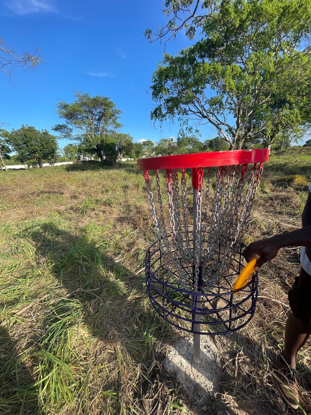 Hole 10 Basket