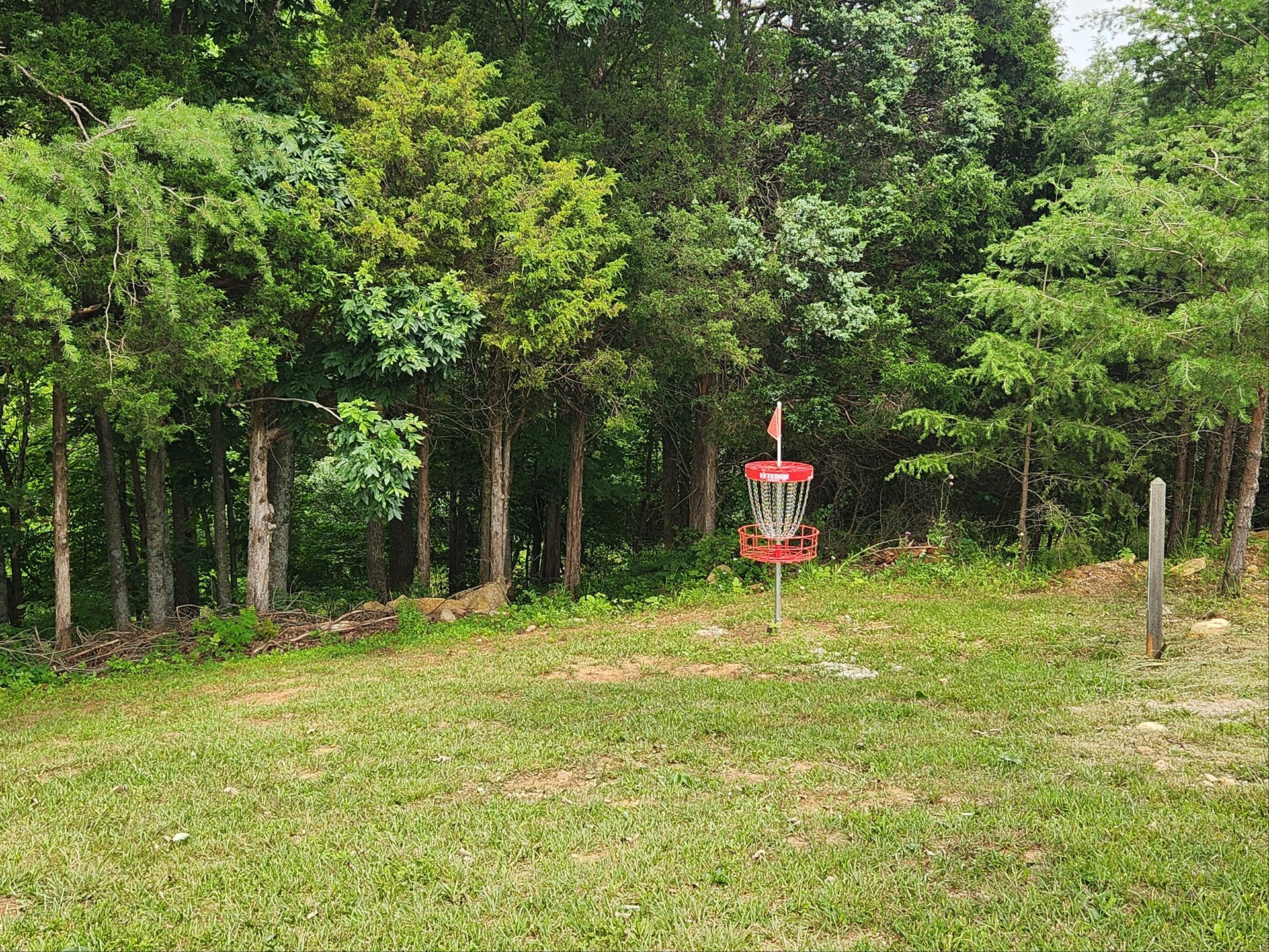 basket location 