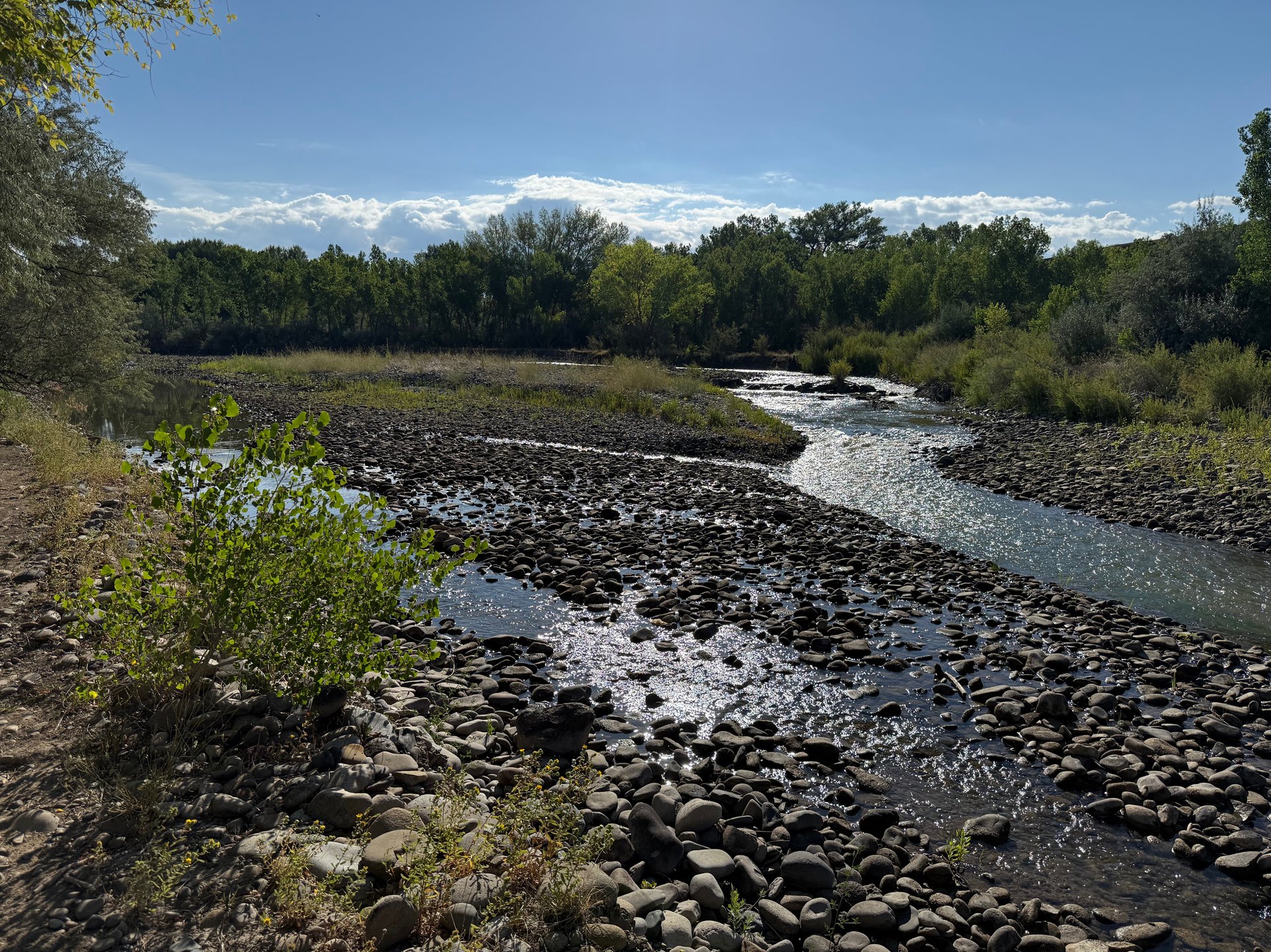 The walk along the river between 7’s baskets and 8’s tee pad.